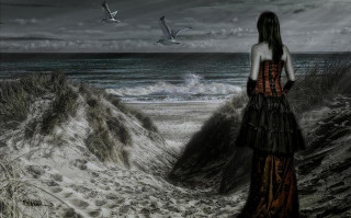 Woman dress beach ocean birds - somber free wallpaper