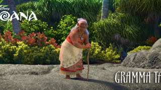 Woman dress stick garden plants - the background and a caption free wallpaper