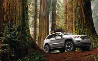 Jeep parked forest backpack roof - a backpack free wallpaper