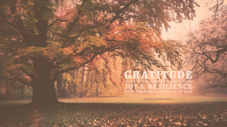 Tree quote gratitude joy resilience - cheerful free wallpaper