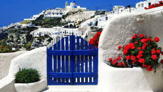 Blue gate red flowers white - a white building free wallpaper