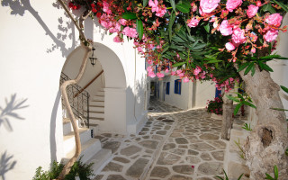 Narrow street flowers staircase door - a narrow street free wallpaper