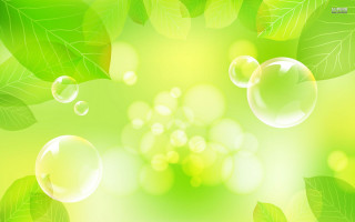 Green background bubbles leaves nature - green background free wallpaper