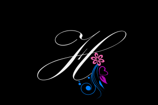 Colorful flower h holography airbrush - holography free wallpaper