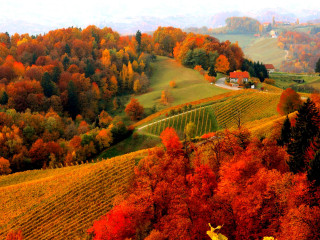 Scenic farm trees fall foliage - the hillside free wallpaper