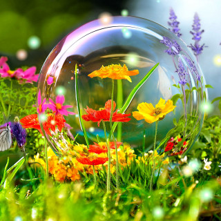 Bubble flowers inside grass field - macro photography free wallpaper