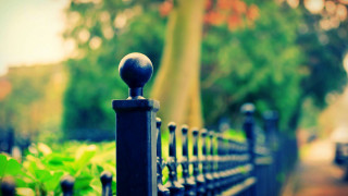 Black fence tree bench green - depth of field free wallpaper