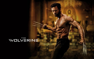 Man wolverine costume wolverine stick - his hand free wallpaper