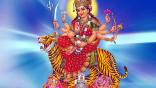 Person riding tiger sword crown - a tiger free wallpaper