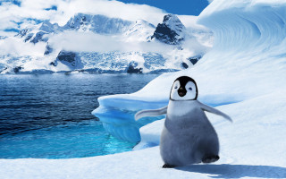 Penguin snow hill water mountain - a penguin free wallpaper