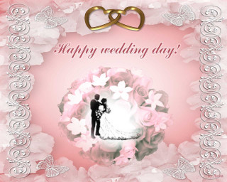 Wedding bride groom flower butterfly - claire dalby free wallpaper for desktop