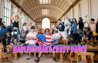 Harlem shake group portrait album - grey free wallpaper for desktop