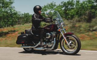 Man riding motorcycle forest sunny - a forest of trees free wallpaper