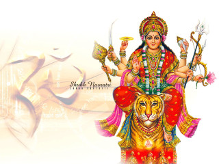 Woman tiger sword cup painting - a painting of a woman free wallpaper
