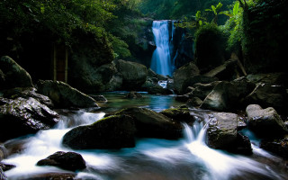Waterfall forest rocks water flow - rock and water free wallpaper