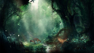 Deer forest light trail woods - matte fantasy painting free wallpaper
