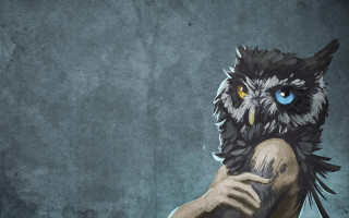 Owl blue eyes human body - a person holding free wallpaper