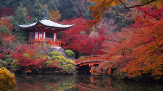 Small bridge water park red - a park free wallpaper