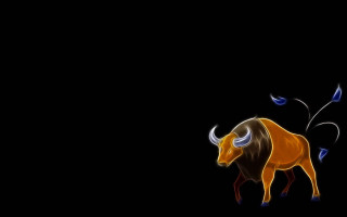 Bull horns dark blue feathers - a bull free wallpaper