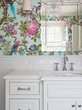 Bathroom mirror reflection interior design - bird free wallpaper
