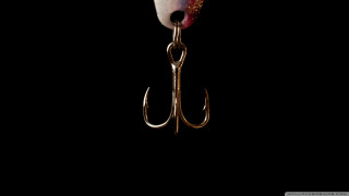 Fishing hook hanging fish hook - carpoforo tencalla free wallpaper