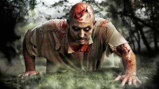 Bloody man grass hands knees - a bloody face free wallpaper