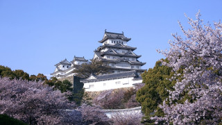 Tall building tower trees purple - a tower free wallpaper