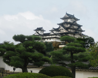 Tall building tower roof trees - roof free wallpaper