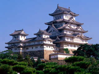 White building tower surrounded trees - a tower free wallpaper