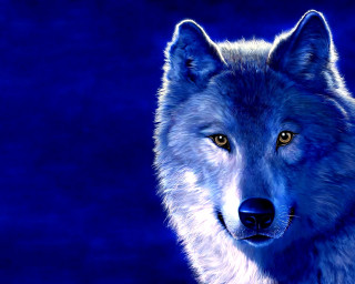 Wolf yellow eyes blue black - caspar wolf free wallpaper