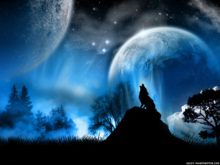 Wolf hill moon stars sky 3 - full moon free wallpaper