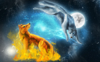 Wolf fox sky fullmoon fireball - full free wallpaper for desktop