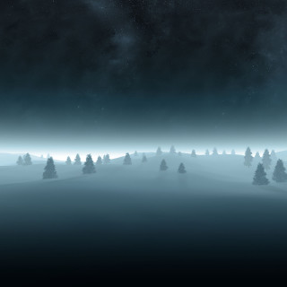 Night sky stars trees foreground 6 - foggy free wallpaper