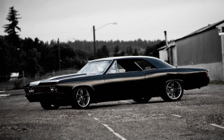Black car parking lot building 8 - a building and trees free wallpaper