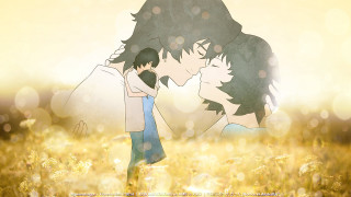 Couple kissing field grass sunshine - official free wallpaper for desktop