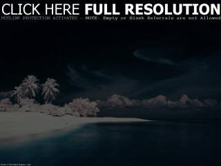 Beach palm trees clouds black - allen tupper true free wallpaper