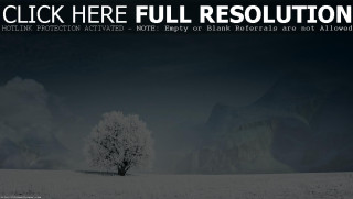 Lone tree snowy field dark - a lone tree in a snowy field free wallpaper