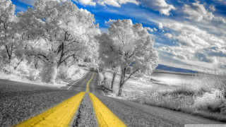 Yellow road trees clouds blue - a matte painting free wallpaper