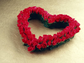 Heart shaped red roses white 2 - cheng shifa free wallpaper