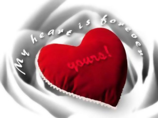 Heart message white rose red - the middle free wallpaper