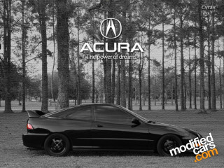 Black car parked forest trees - a forest of trees free wallpaper