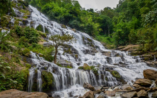 Waterfall tree rocks foreground trees - andrew law free wallpaper
