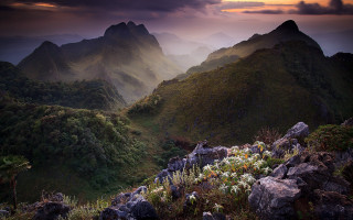 Mountain range flowers cloudy sky - dai xi free wallpaper