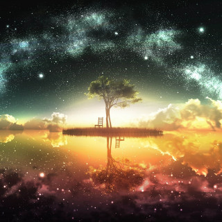 Tree ladder sky ladder water - the water below free wallpaper