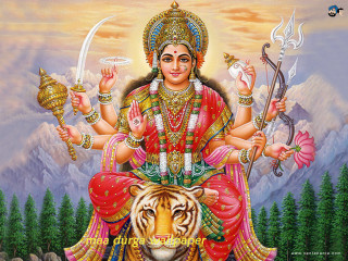 Person sitting tiger sword foreground 3 - a tiger free wallpaper