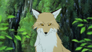 Fox forest trees bushes background - a character portrait free wallpaper