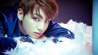 Man blue jacket white feathers - his chest and chest free wallpaper