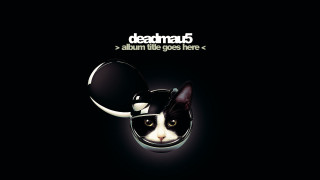 Black white cat hat black - cat free wallpaper
