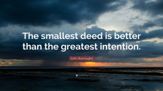 Smallest seed greatest intention john 2 - greatest free wallpaper