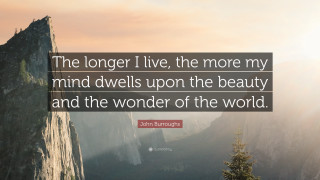John schrup quote longer i - a cross stitch free wallpaper